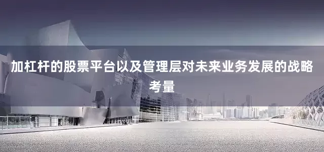 加杠杆的股票平台以及管理层对未来业务发展的战略考量