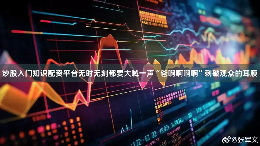 炒股入门知识配资平台无时无刻都要大喊一声“爸啊啊啊啊”刺破观众的耳膜