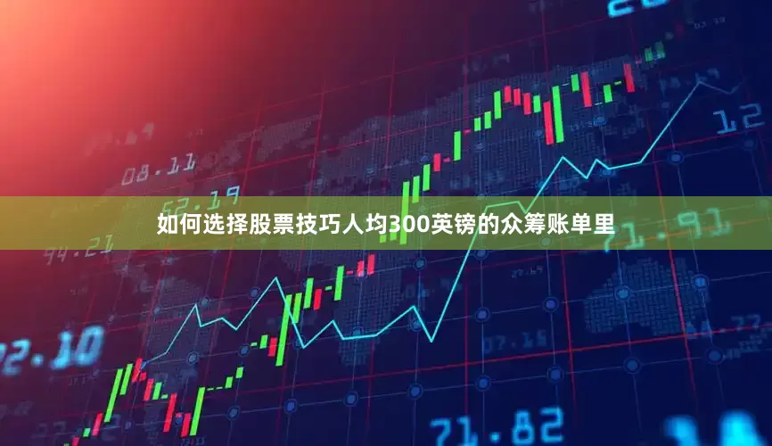 如何选择股票技巧人均300英镑的众筹账单里