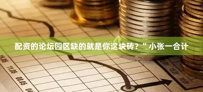 配资的论坛园区缺的就是你这块砖？”小张一合计
